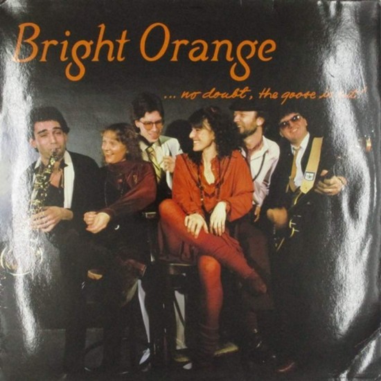 Пластинка Bright Orange No Doubt, The Goose Is Out!